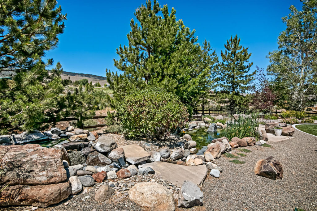 Xeriscaping in nevada