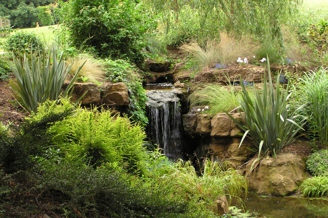 sustainable gardening example in northern nevada