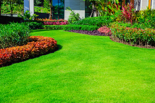 beautiful front yard of home