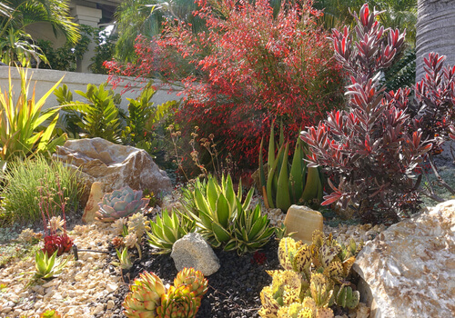 xeriscaping garden