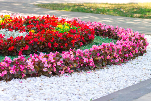 flower bed surrounded by gravel