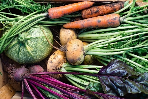 vegetables from garden