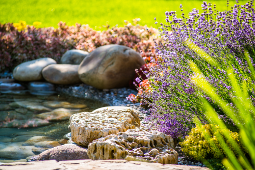 flowers and pond