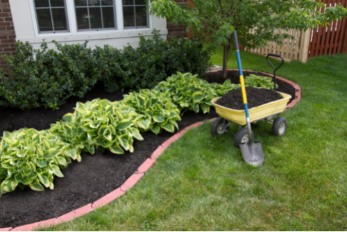 wheel barrel of mulch