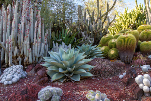 Nevada landscape