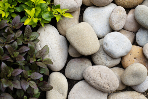 pretty rocks in garden