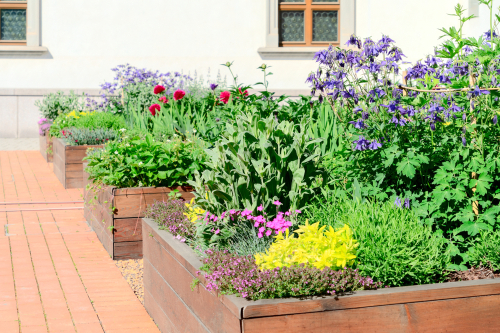 Raised Garden Beds