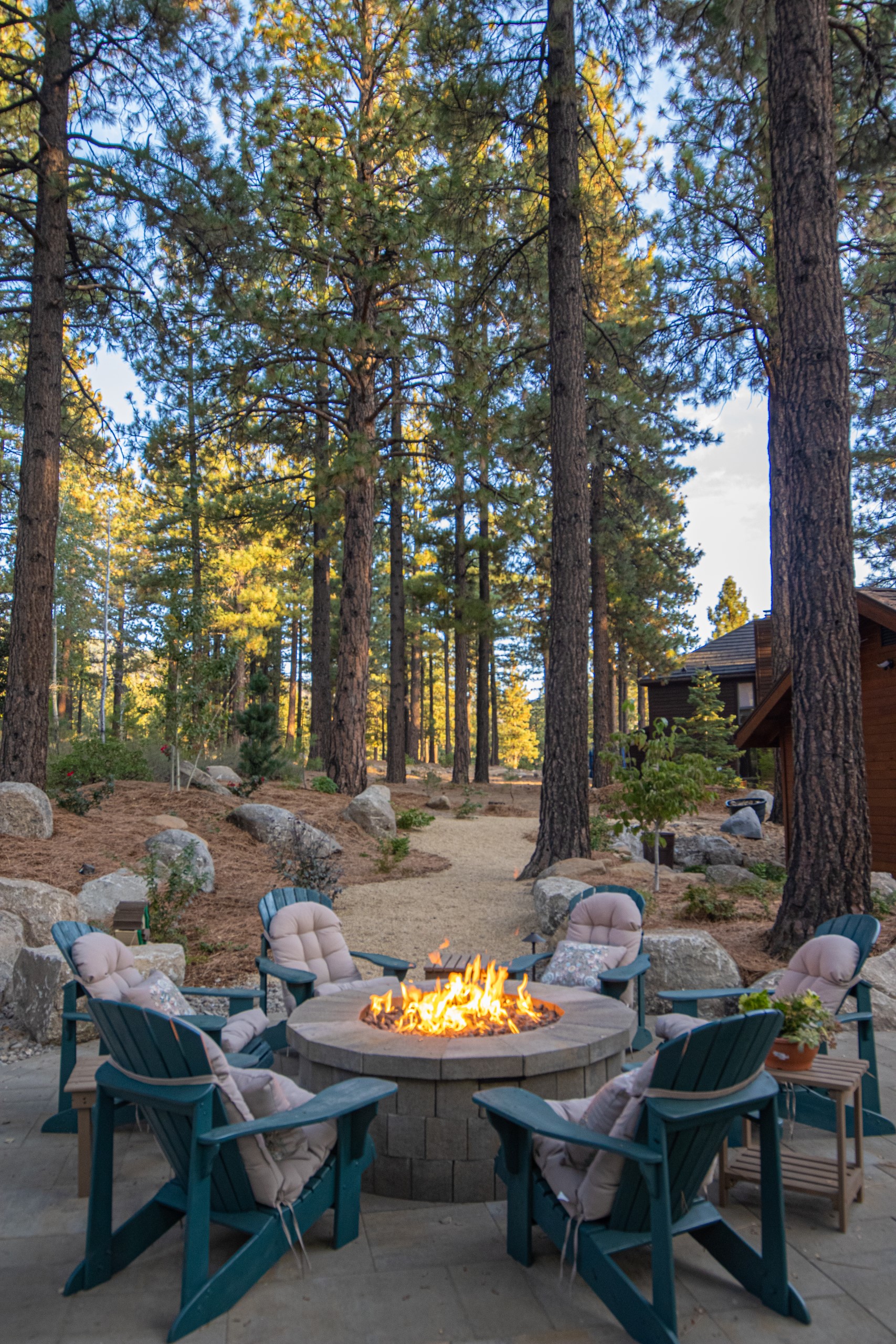 A cozy backyard fire pit surrounded by teal Adirondack chairs with cushions, set in a scenic forest environment. Tall pine trees and natural landscaping create a serene outdoor retreat.